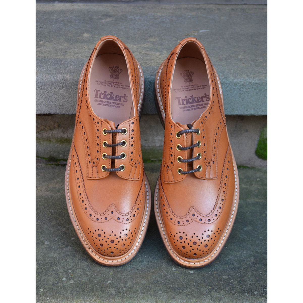 Trickers BOURTON - Gold MC